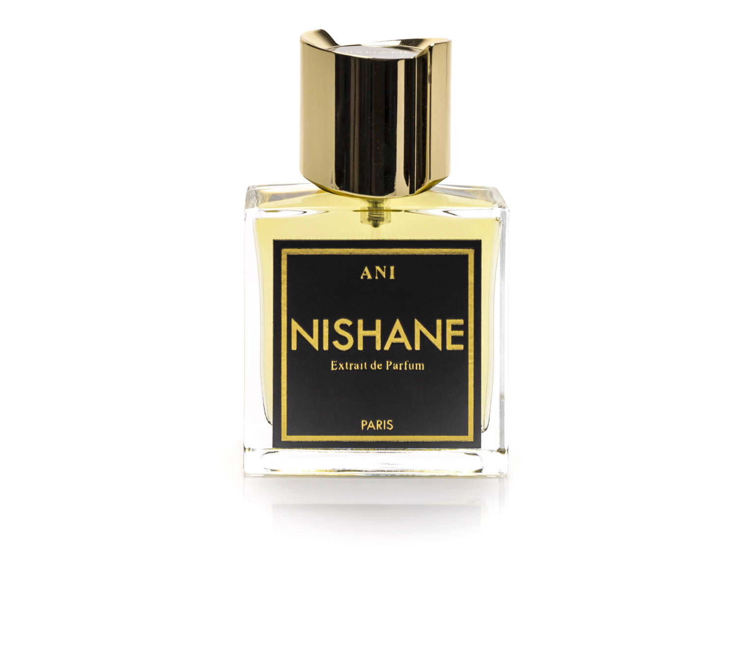 Nishane parfum. Духи Nishane Sultan Vetiver. Nishane Парфюм 100ml. Нишане Ани Парфюм. Nishane Парфюм мужской.